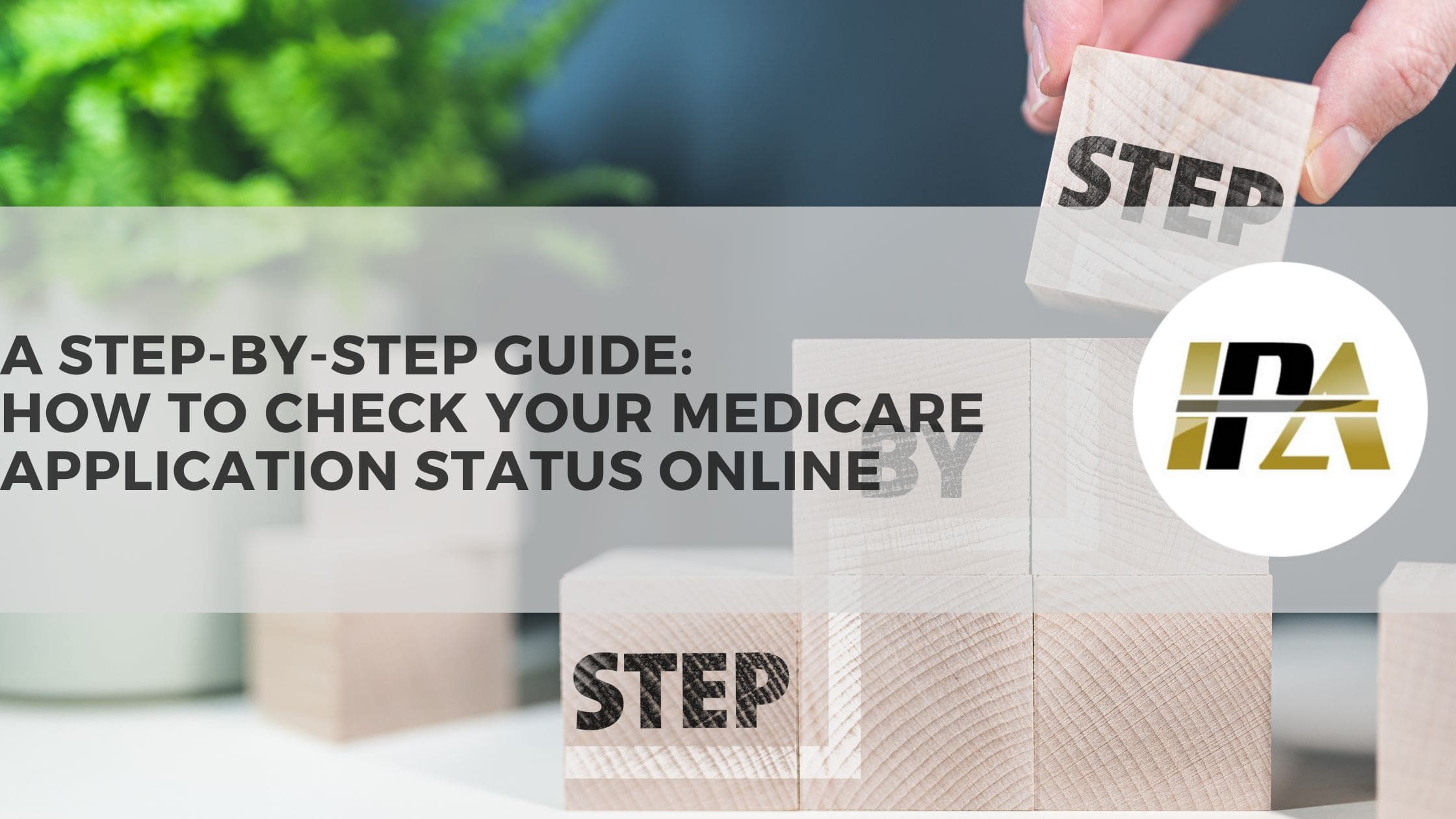 How to Check Your Medicare Application Status Online